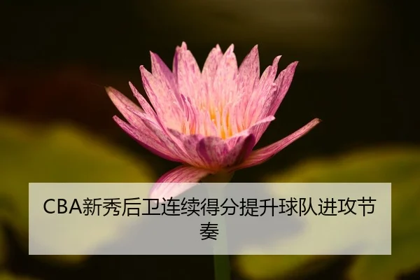 CBA新秀后卫连续得分提升球队进攻节奏